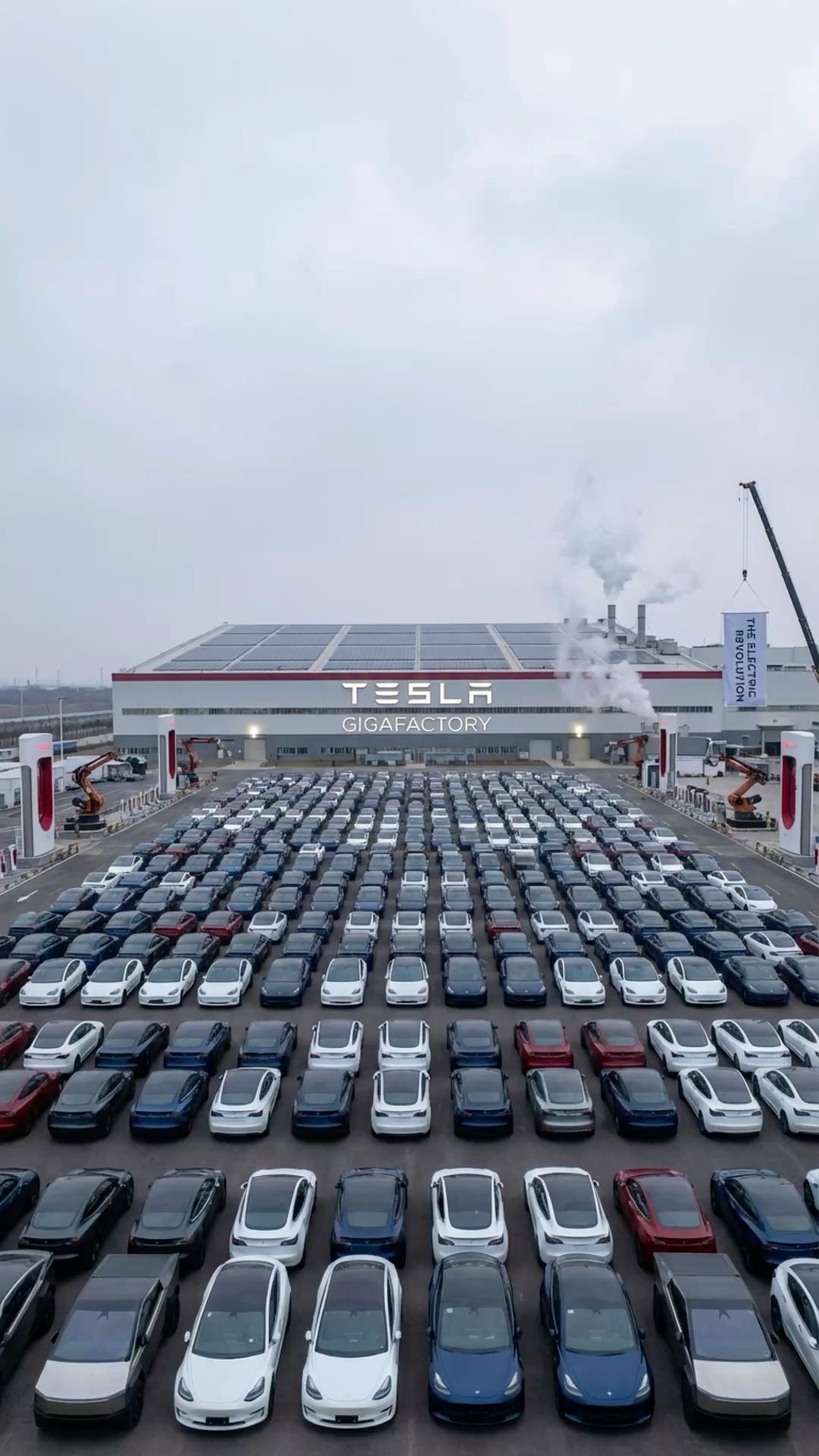 Teslas